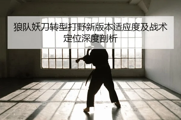 lang-dui-yao-dao-zhuan-xing-da-ye-xin-ban-ben-shi-ying-du-ji-zhan-shu-ding-wei-shen-du-pou-xi-2-673.jpg